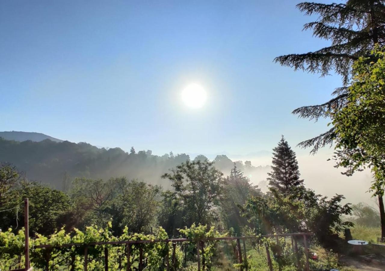 "Il Casaletto" Agriturismo Moderno, Vista Panoramica E Cibo Spettacolare- Scurcola Marsicana Exterior foto